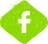 footer-social-fb